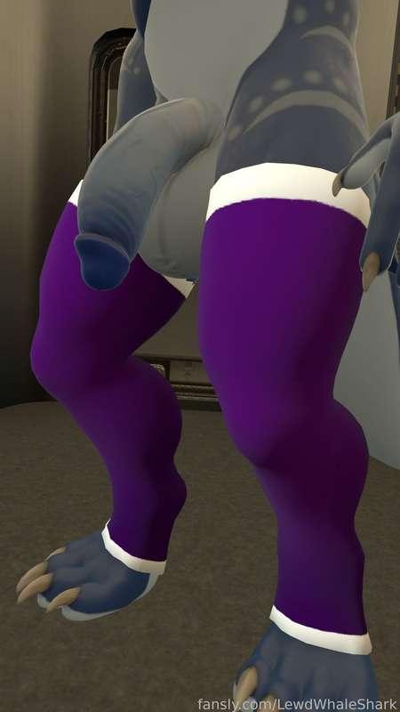 lewdwhaleshark image #2