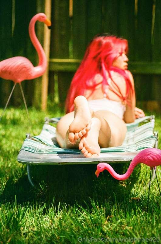 come put some oil on my feet xox