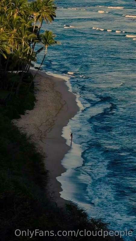 lifes a beach