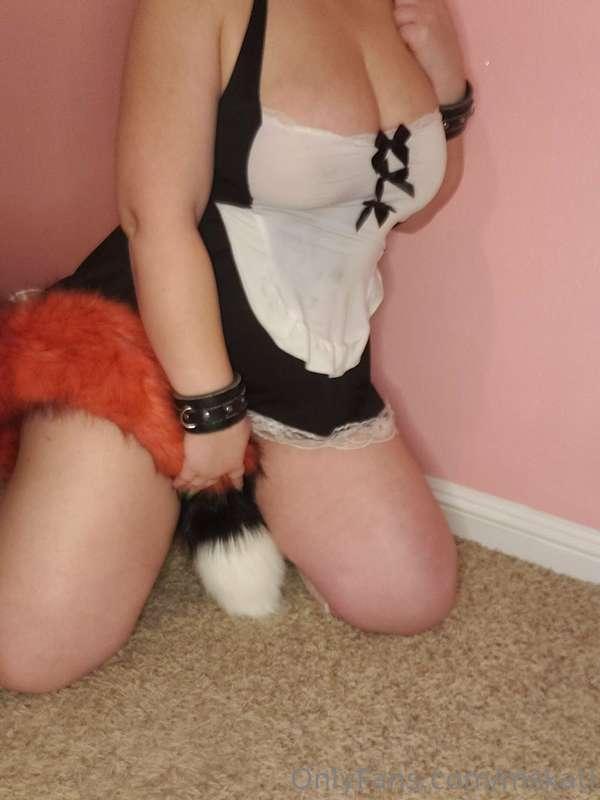 This tail tickles! You made a good choice 😉