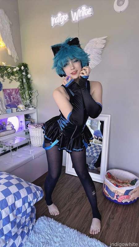 indigowhite image #37