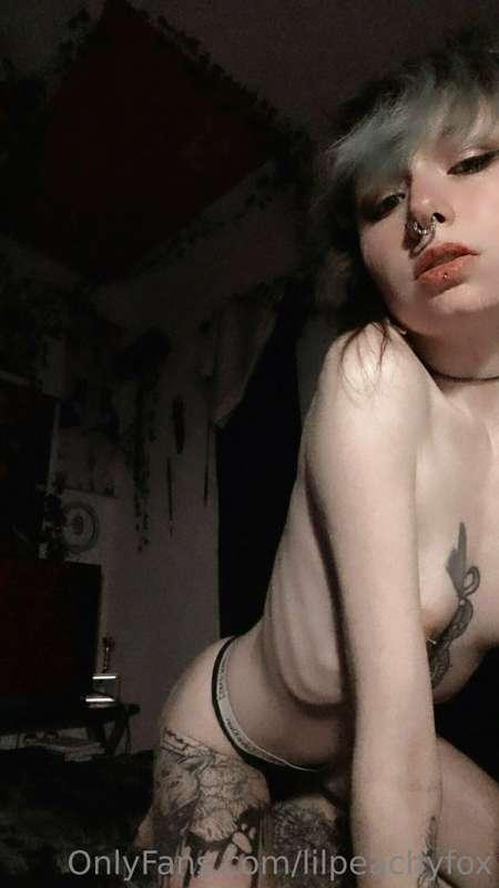 lilpeachyfox image #0