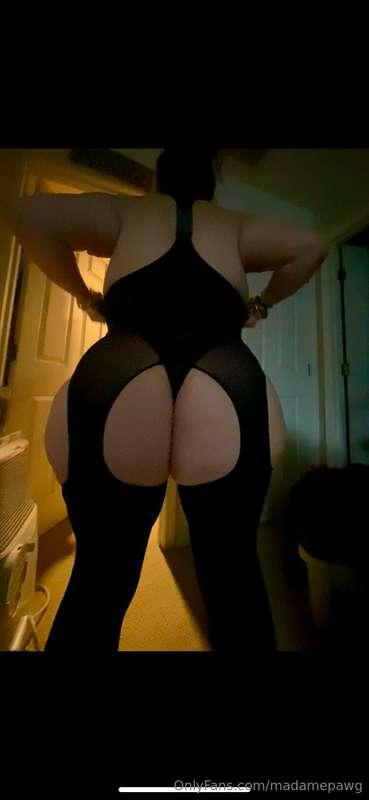 madamepawg image #31