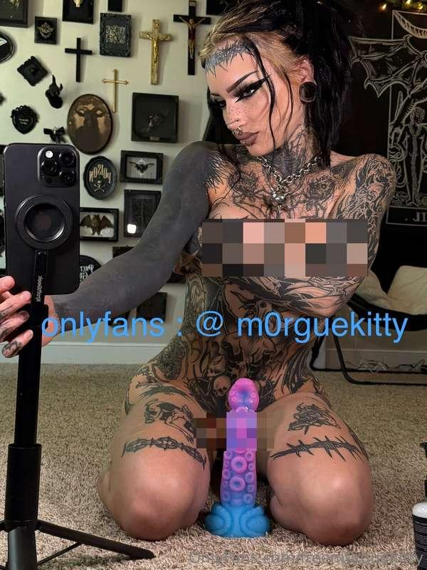 freem0rguekitty image #0