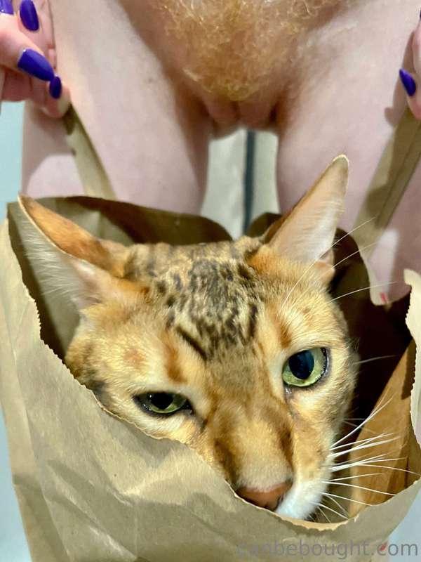 Say hello to my kitty♡ॢ₍⸍⸌̣ʷ̣̫⸍̣⸌₎