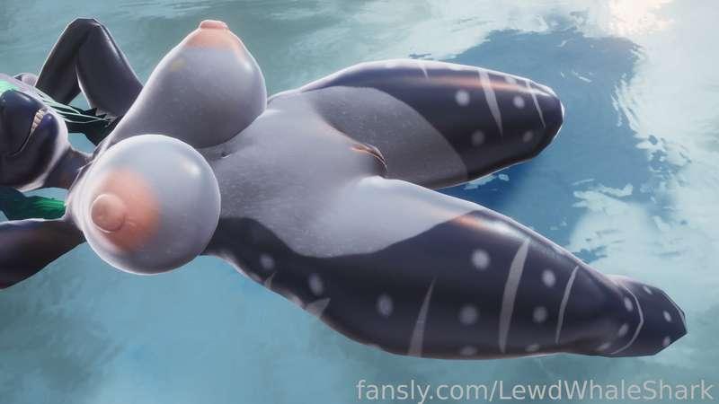 lewdwhaleshark image #2