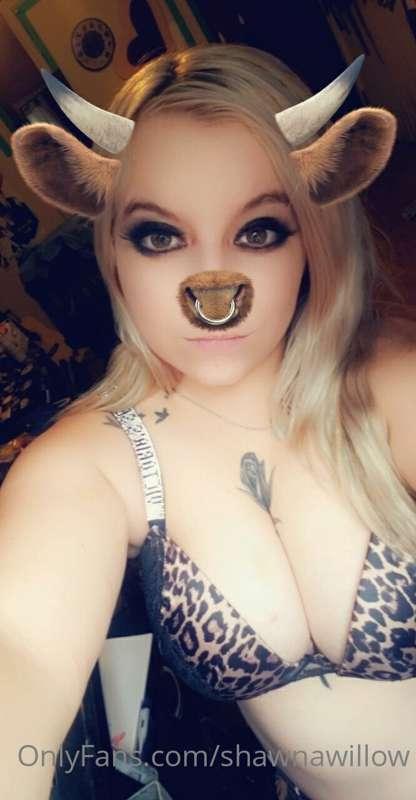 🐄