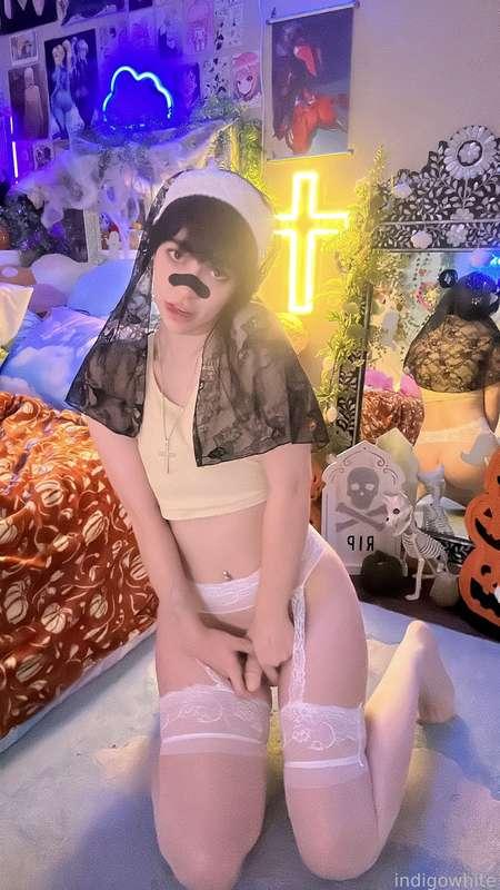 indigowhite image #321