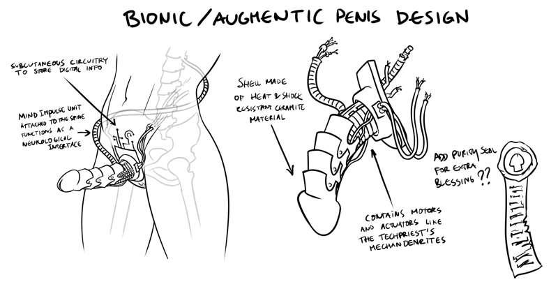 The Bionic/Augmentic Penis....