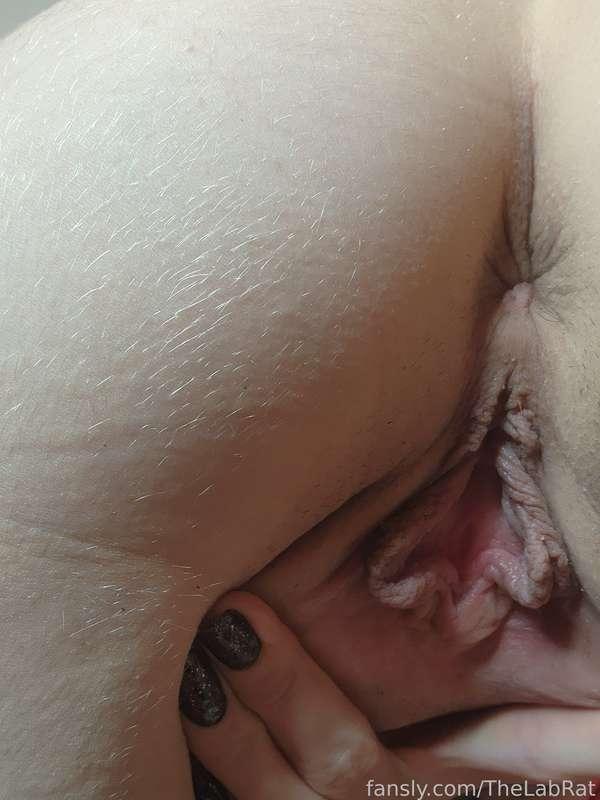 thelabrat image #7