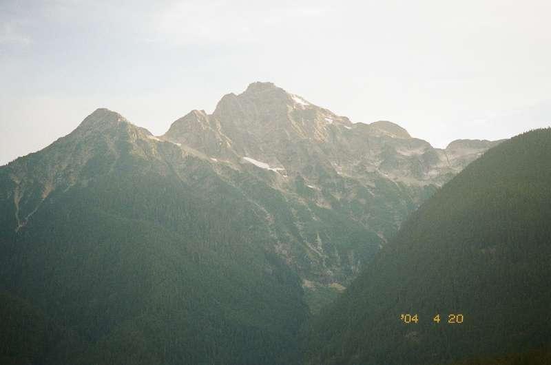 alignwithjuniper image #0