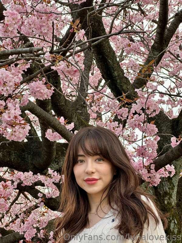 I wanted to show you guys me enjoying the cherry blossoms he..
