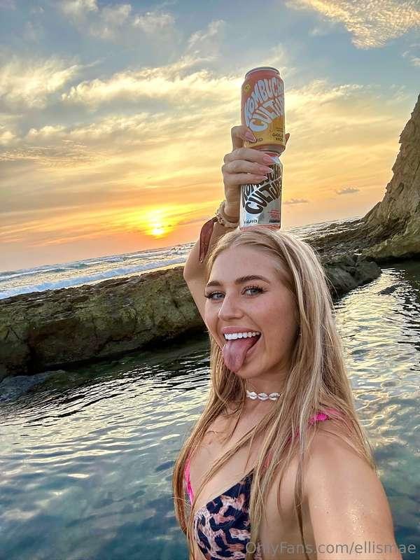 Kombucha 🦋