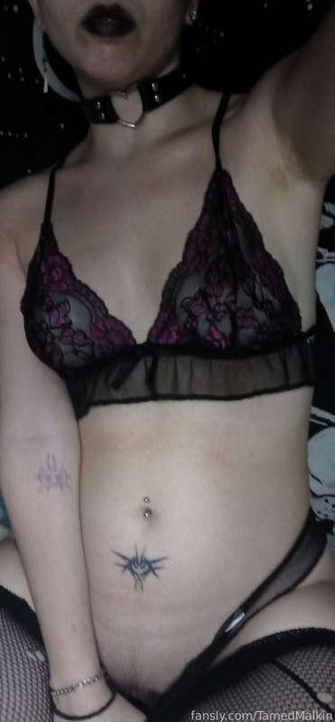 tamedmalkin image #13