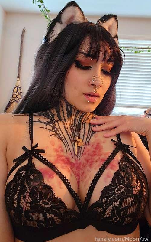 Kitten playing with heat 🔥 
I made a video of all this maybe I'll have a fun little deal tomorrow on it 👀 