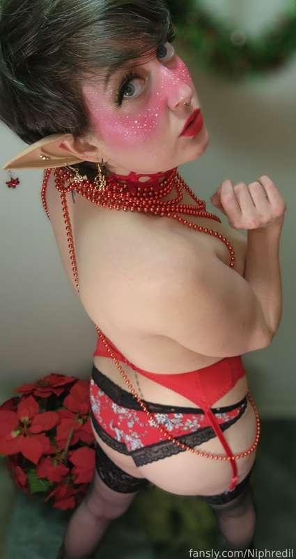 niphredil image #7