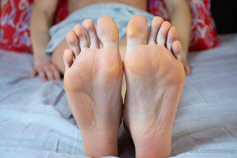 torislegs image #2