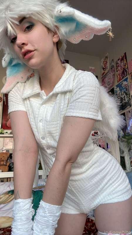 indigowhite image #240