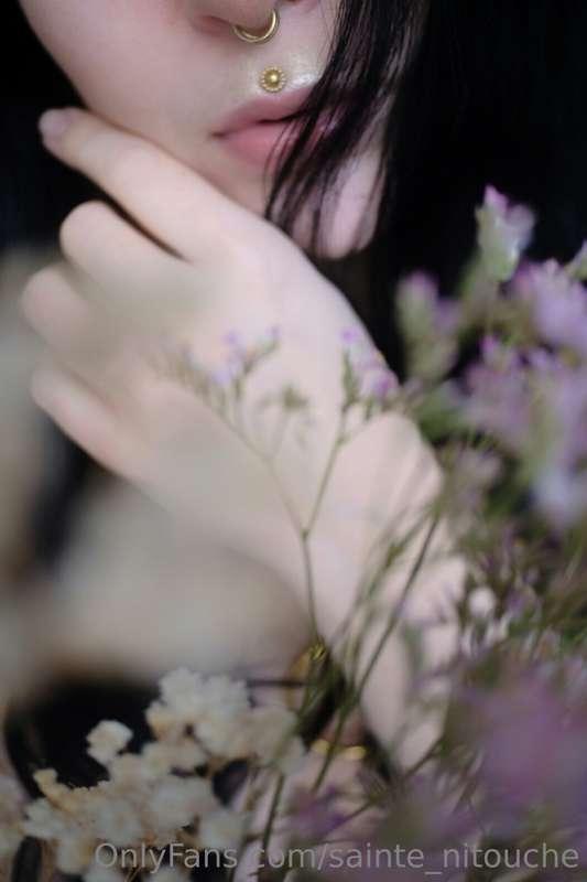 Bonjour 🌺
