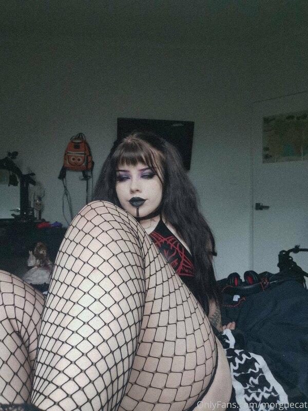 RaVish me. ?