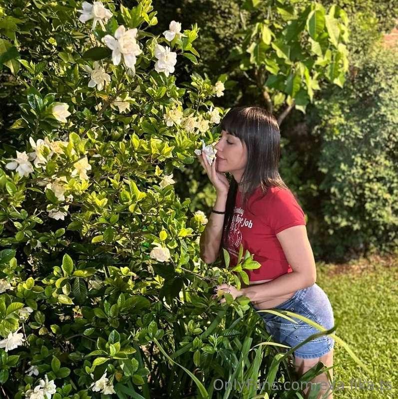 Find the main flower in the flowers! 😆🌺