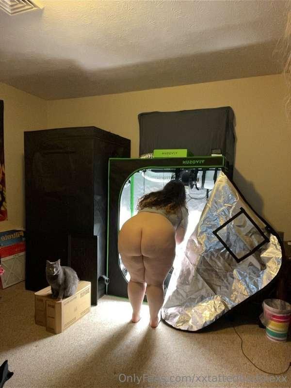 xxtattedbaddiexx image #0