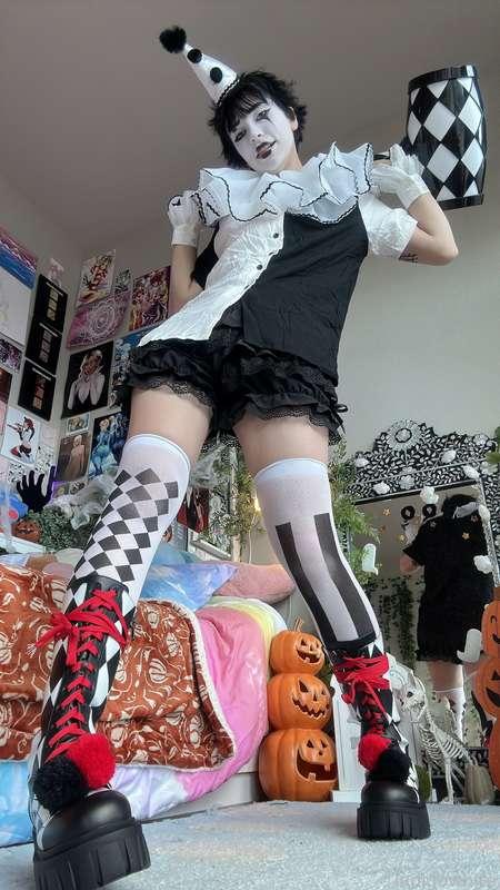 indigowhite image #104