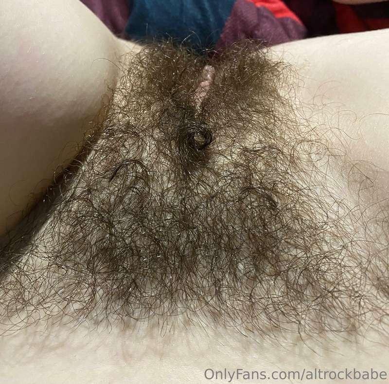 My bush has a cute little curl!