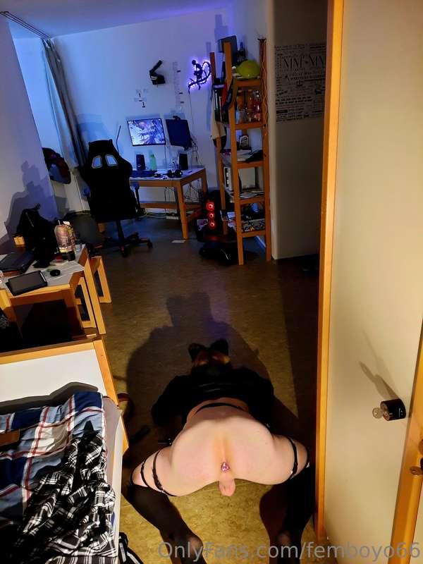 FEMBOY FRIDAY
A naughty Femboy shows you his hidden treasure..