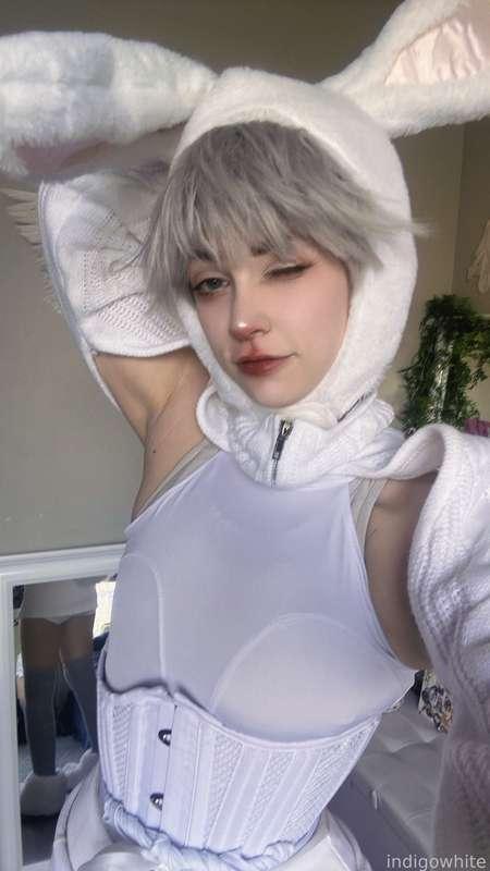 White Rabbit Pics 🐇