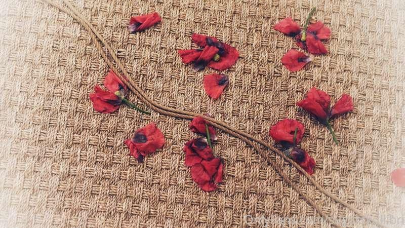 “Poppies will put them to sleep”
-The Wizard of Oz

Poppies ..