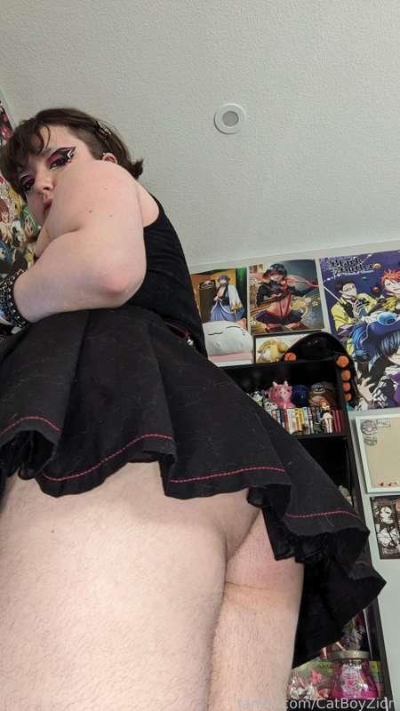 catboyzion image #12