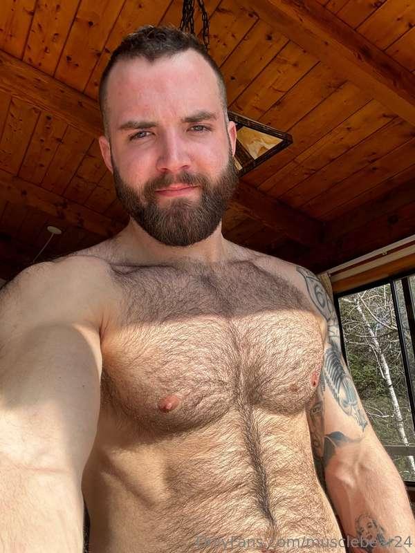 musclebear24 image #0