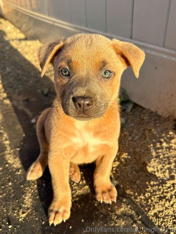 Thank you to everyone who donated to get this sweet baby out..