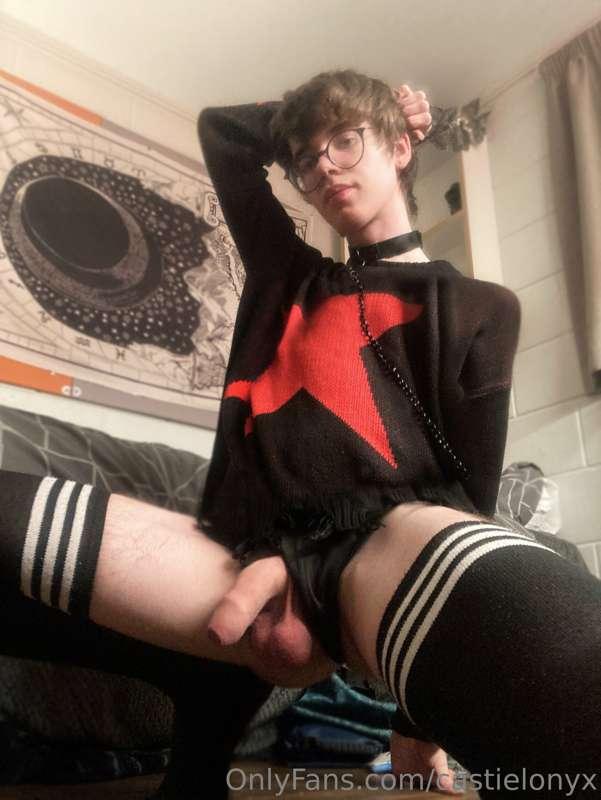 The end of this leash is looking pretty lonely, I need someo..