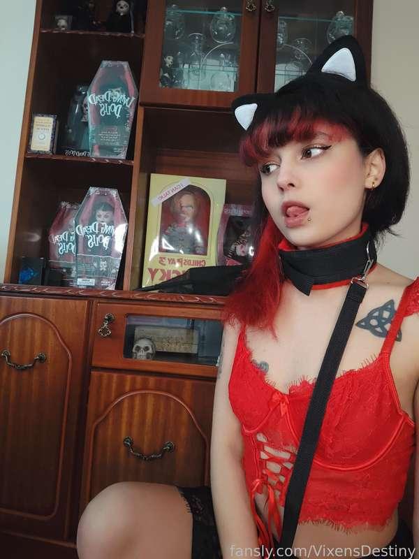 vixensdestiny image #2