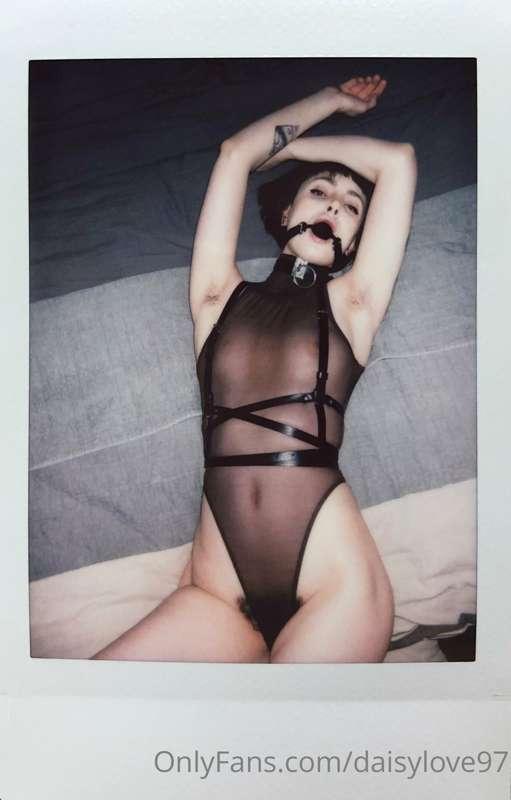 daisylove image #2