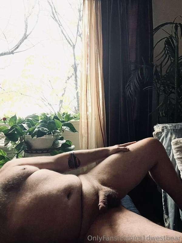 m1dwestbear image #8