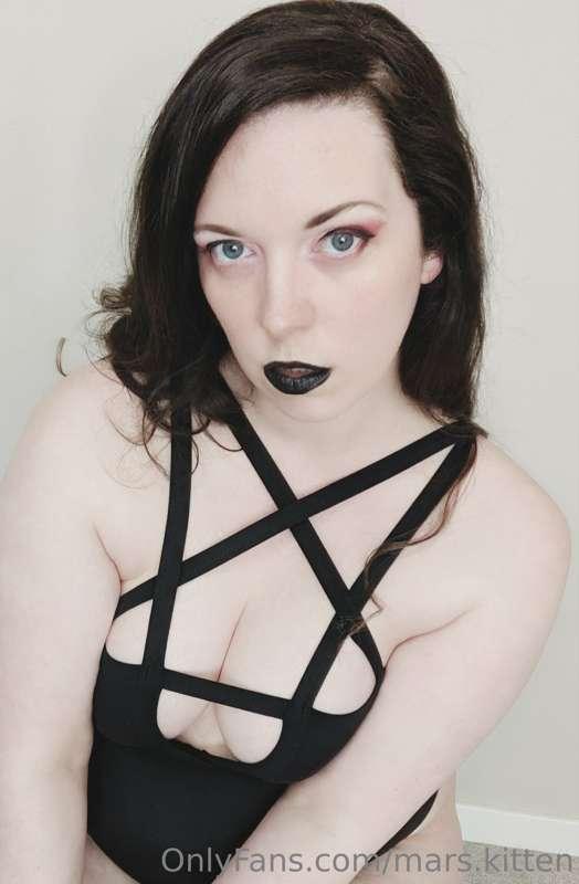 mars.kitten image #2