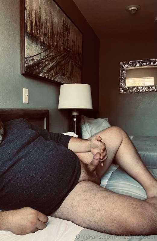 m1dwestbear image #1