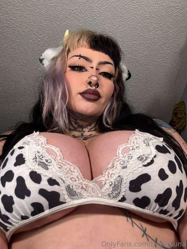hi 💀