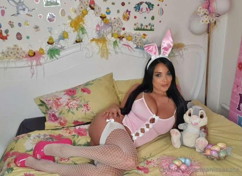 anissakate image #20