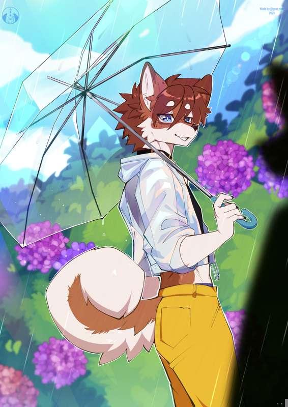 Summer Walk