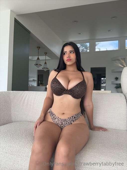 Sitting pretty 🐆