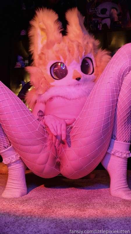 littlepixiekitten image #6
