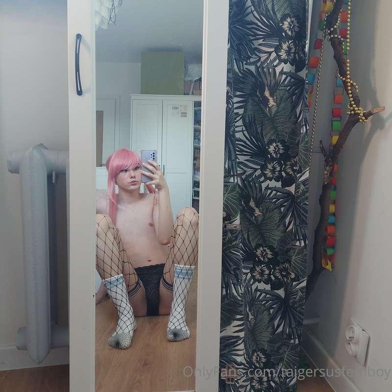tajgersusfemboy image #0