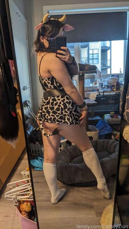 catboyzion image #6