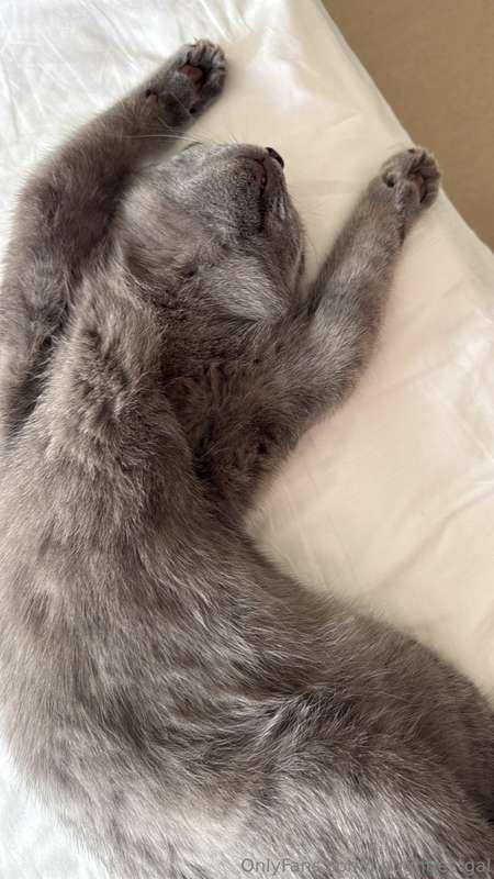 naughtiestgal image #1