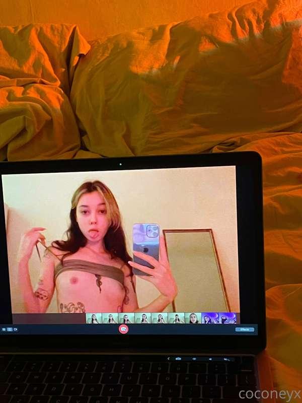 coconeyx image #1