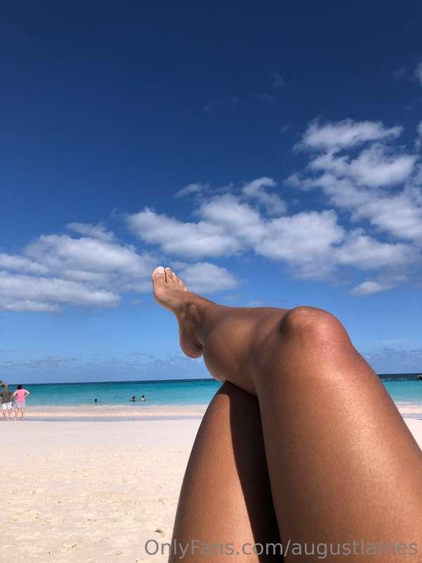 good morning from bermuda 🏝️